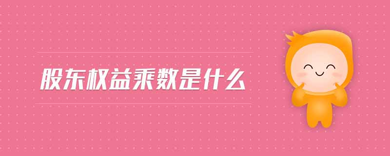 股東權(quán)益乘數(shù)是什么 股東權(quán)益乘數(shù)是什么
