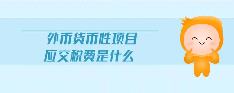 外幣貨幣性項目應(yīng)交稅費(fèi)是什么