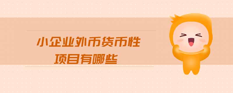 小企業(yè)外幣貨幣性項(xiàng)目有哪些