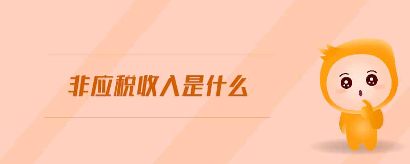 非應(yīng)稅收入是什么