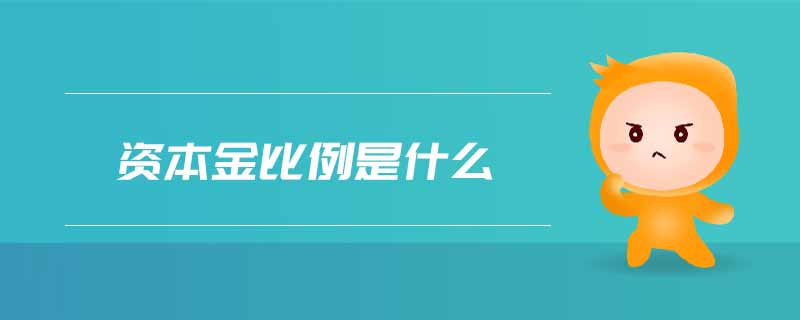 資本金比例是什么