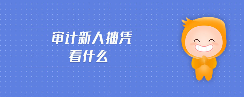 審計(jì)新人抽憑看什么