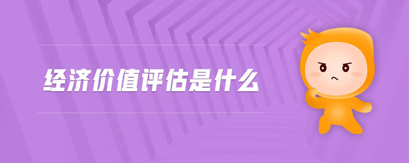 經(jīng)濟(jì)價(jià)值評(píng)估是什么 經(jīng)濟(jì)價(jià)值評(píng)估是什么