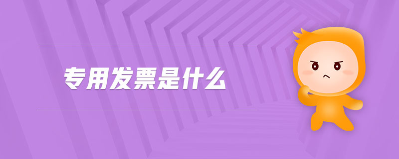 專用發(fā)票是什么