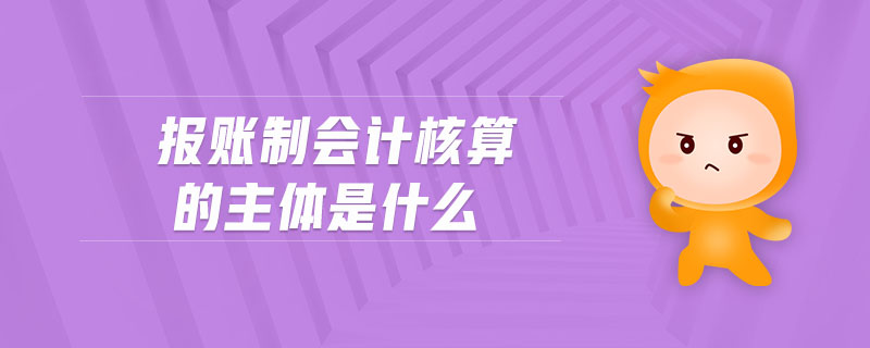 報賬制會計核算的主體是什么 報賬制會計核算的主體是什么
