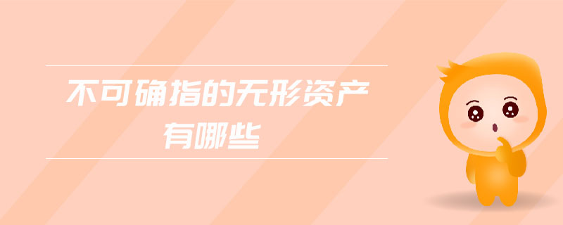不可確指的無形資產(chǎn)有哪些