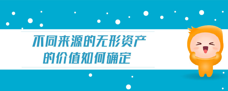 不同來源的無形資產(chǎn)的價值如何確定 不同來源的無形資產(chǎn)的價值如何確定