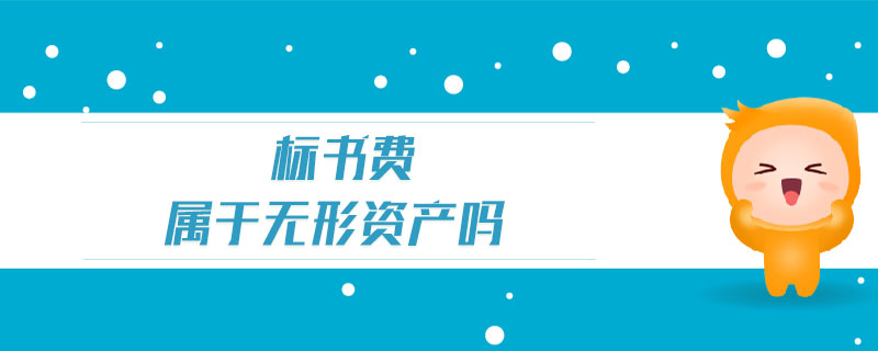 標(biāo)書費(fèi)屬于無形資產(chǎn)嗎