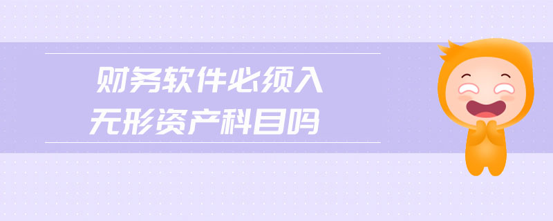 財務(wù)軟件必須入無形資產(chǎn)科目嗎