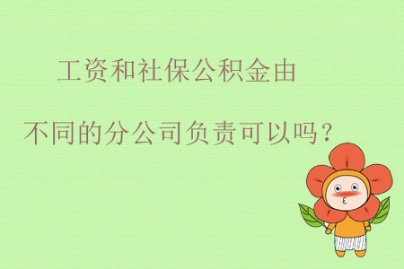 工資和社保公積金由不同的分公司負責可以嗎？