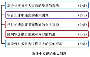 審計(jì)中發(fā)現(xiàn)的重大問題