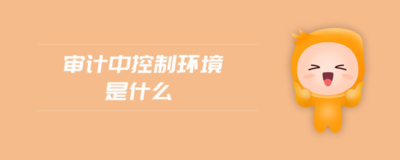 審計(jì)中控制環(huán)境是什么
