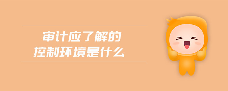 審計應了解的控制環(huán)境是什么
