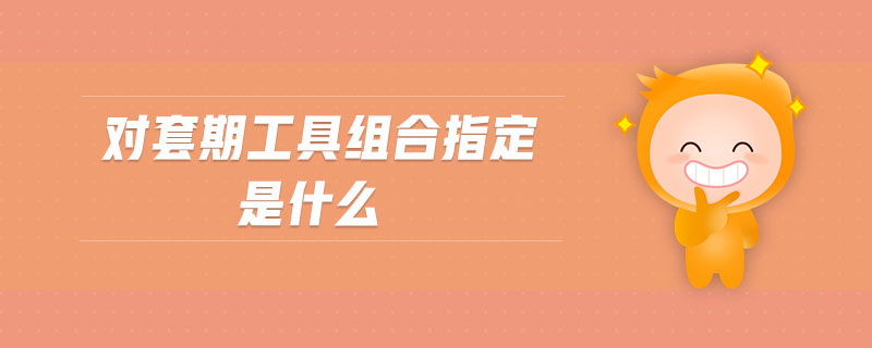 對套期工具組合指定是什么