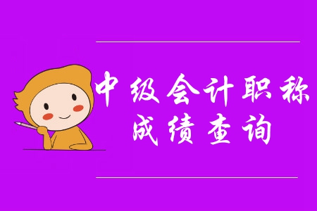 湖南省中級(jí)會(huì)計(jì)師成績(jī)查詢(xún)方式是什么？