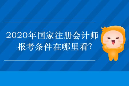 2020年國(guó)家注冊(cè)會(huì)計(jì)師報(bào)考條件在哪里看？