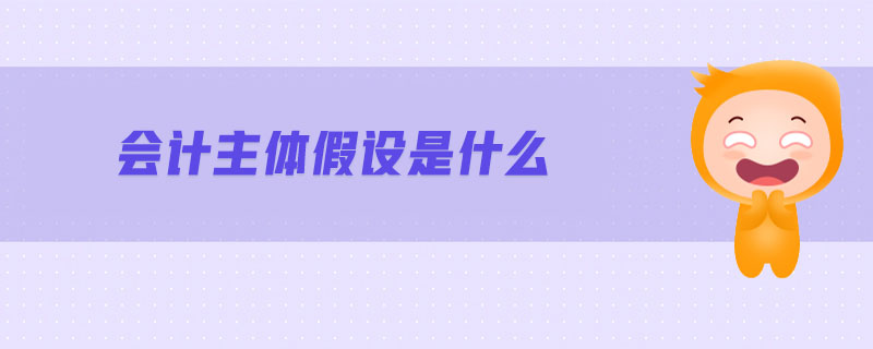 會(huì)計(jì)主體假設(shè)是什么