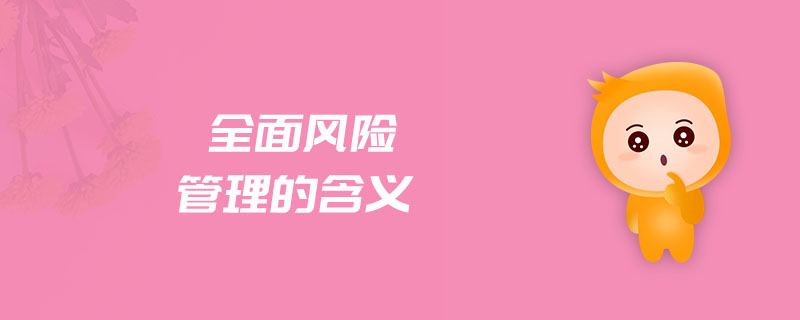 全面風險管理的含義