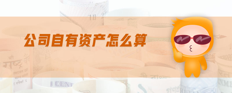 公司自有資產(chǎn)怎么算