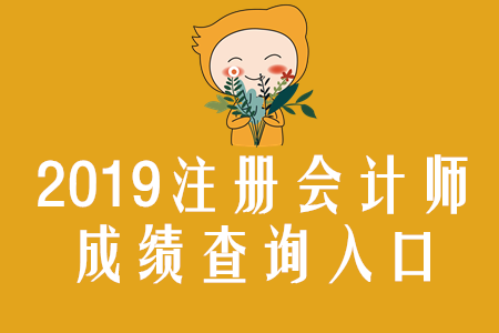黑龍江2019年注冊(cè)會(huì)計(jì)師成績(jī)查詢?nèi)肟谝验_(kāi)通