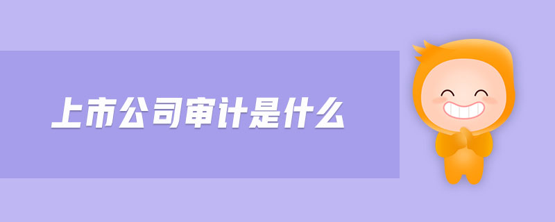 上市公司審計(jì)是什么