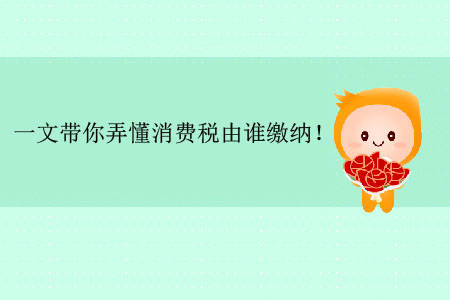 一文帶你弄懂消費(fèi)稅由誰(shuí)繳納！