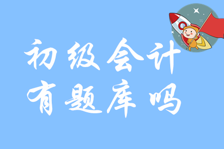 2020年初級會計師考試有題庫嗎？