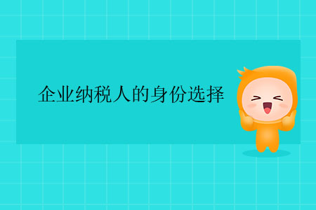 企業(yè)納稅人的身份選擇