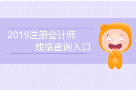 2019注冊會計師成績查詢?nèi)肟诰唧w是什么？