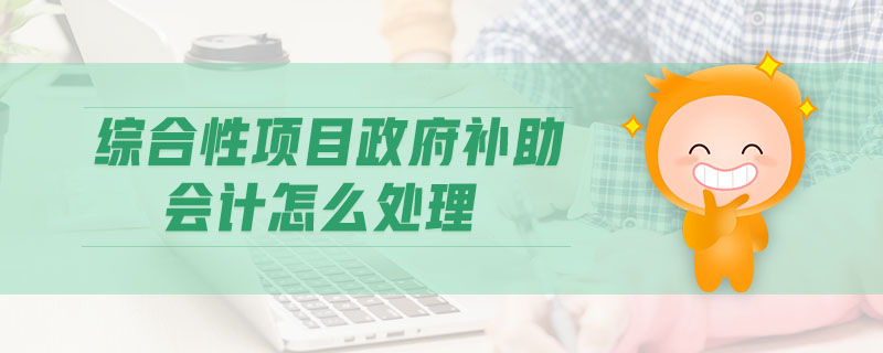綜合性項(xiàng)目政府補(bǔ)助會(huì)計(jì)怎么處理 綜合性項(xiàng)目政府補(bǔ)助會(huì)計(jì)怎么處理