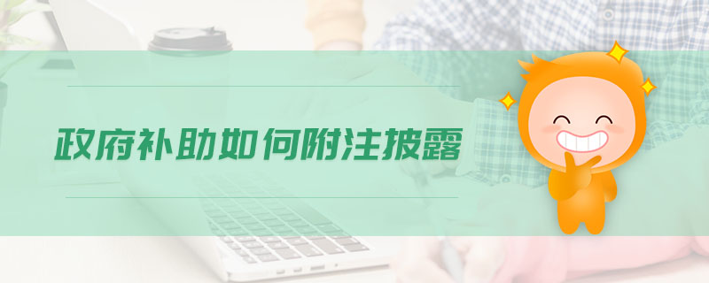 政府補助如何附注披露