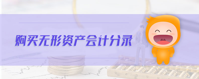 購(gòu)買無(wú)形資產(chǎn)會(huì)計(jì)分錄 購(gòu)買無(wú)形資產(chǎn)會(huì)計(jì)分錄