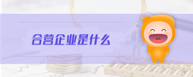 合營企業(yè)是什么