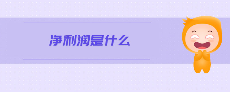 凈利潤是什么 凈利潤是什么
