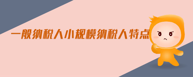 一般納稅人小規(guī)模納稅人特點