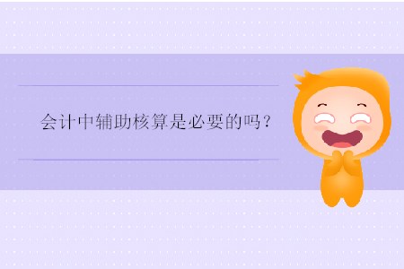 會計中輔助核算是必要的嗎？