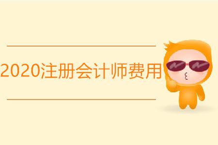 報(bào)名2020注冊(cè)會(huì)計(jì)師費(fèi)用是多少？