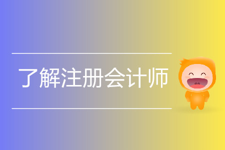 報(bào)考不再猶豫！一文帶你了解注冊(cè)會(huì)計(jì)師的方方面面！