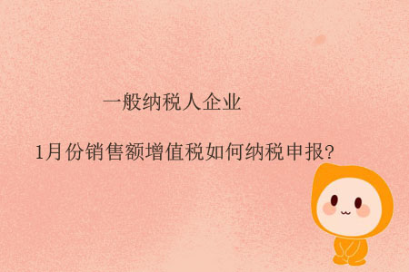 一般納稅人企業(yè)1月份銷售額增值稅如何納稅申報(bào)?