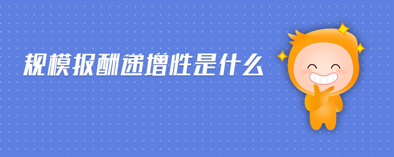 規(guī)模報酬遞增性是什么