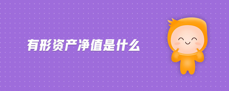 有形資產(chǎn)凈值是什么