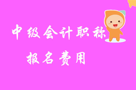 中級(jí)會(huì)計(jì)職稱(chēng)報(bào)名費(fèi)用公布了嗎？