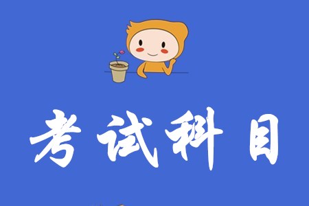 2020年初級會計都考什么科目？