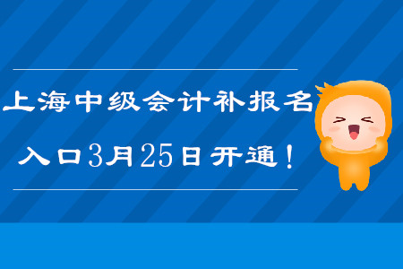 2020年上海中級(jí)會(huì)計(jì)師補(bǔ)報(bào)名入口3月25日開通！