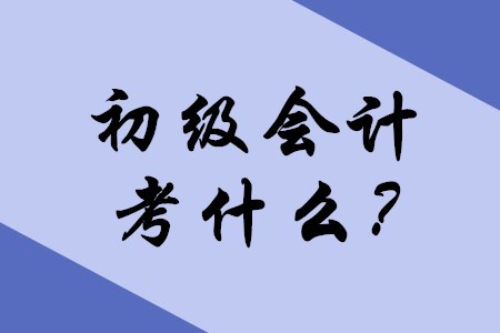 2020年初級會計職稱考試主要考什么內(nèi)容？