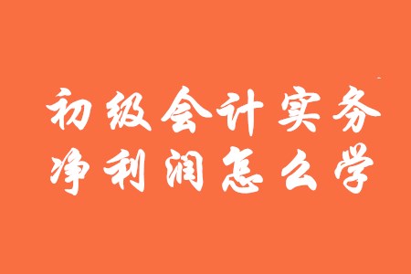 初級(jí)會(huì)計(jì)實(shí)務(wù)中凈利潤(rùn)該怎么學(xué)？