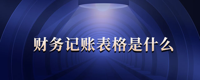 財務(wù)記賬表格是什么 財務(wù)記賬表格是什么