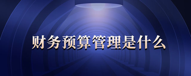 財務(wù)預(yù)算管理是什么