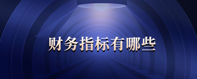 財務(wù)指標(biāo)有哪些