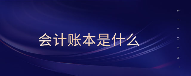 會計賬本是什么
